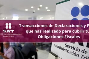 Transacciones de Declaraciones y Pagos que has realizado para cubrir tus Obligaciones Fiscales