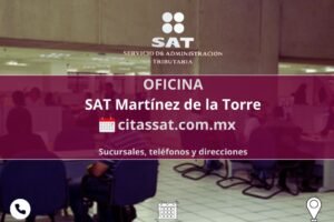 SAT Martínez de la Torre: Cómo sacar cita, horarios de atención y teléfonos
