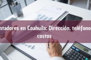 Contadores en Coahuila