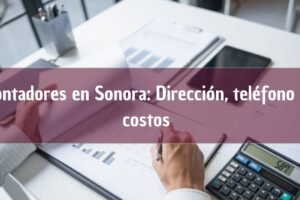 Contadores en Sonora