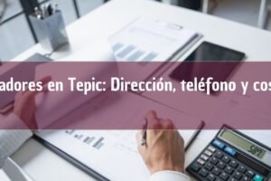 Contadores en Tepic