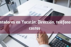 Contadores en Yucatán